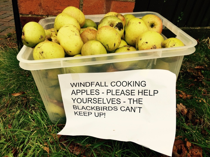 Home grown apples sitting in a plastic container with a sign asking people passing by to take them.
