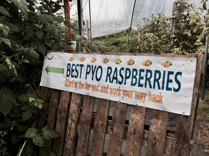 Pick your own raspberries sign at a fruit farm in Worcestershire, England.
