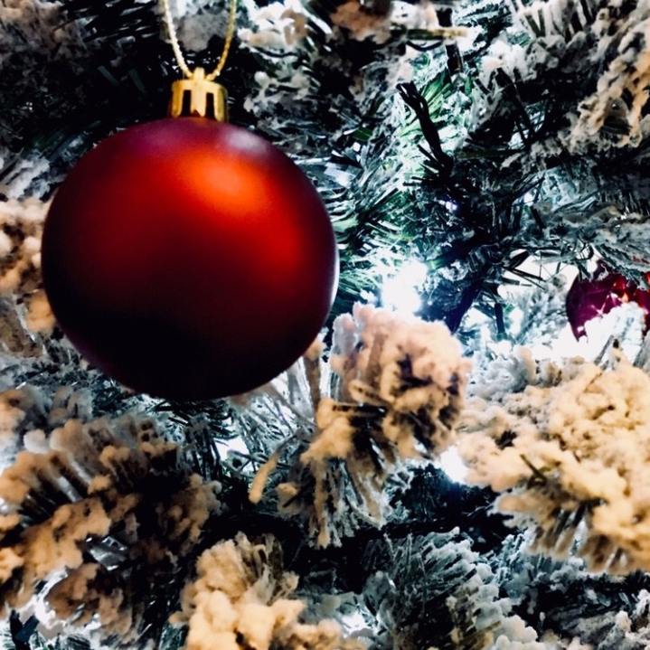 A Christmas bauble hanging in a frosted tree.