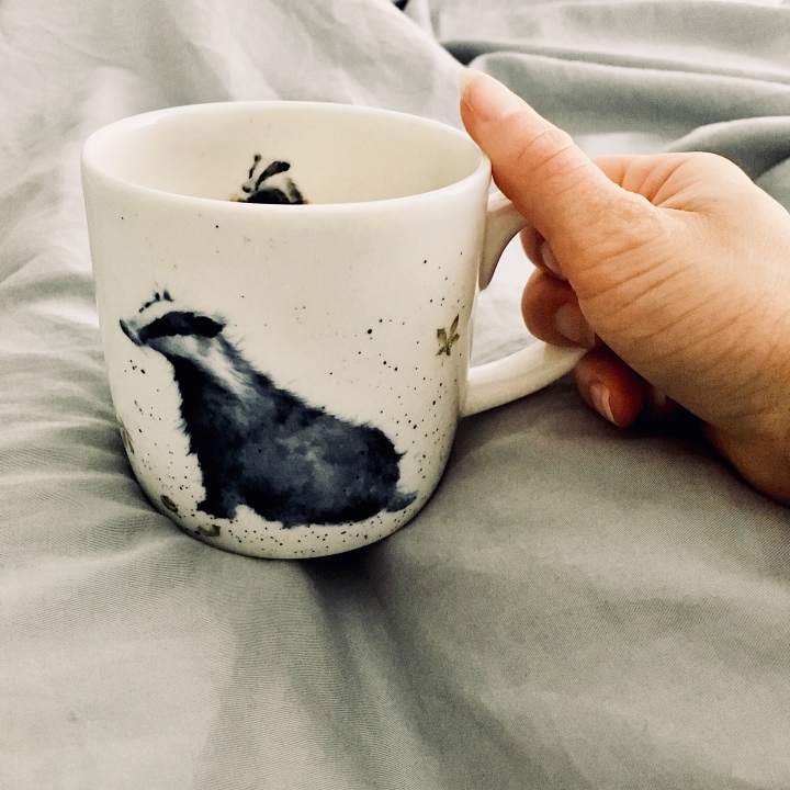 Hand holding mug with picture of a badger on it.