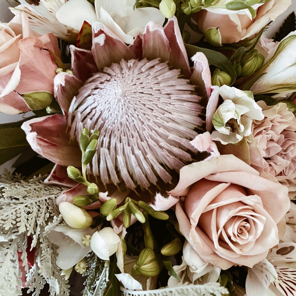 Soft pink, green and white bouquet of flowers, featuring a protea and roses.